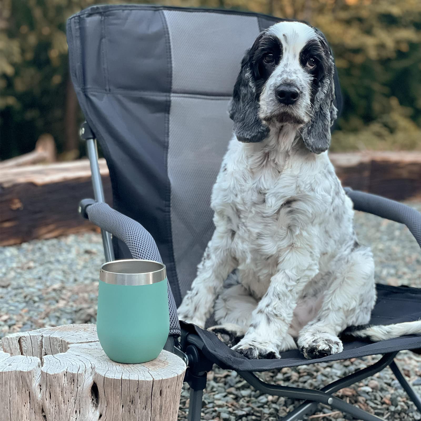 G4Free Compact Folding Beach Camping Chair with Lumbar Support - Portable Low Sling Design & Carry Bag - Perfect for Outdoor, Picnic, Travel, Concerts & Backyard Relaxation (Black)