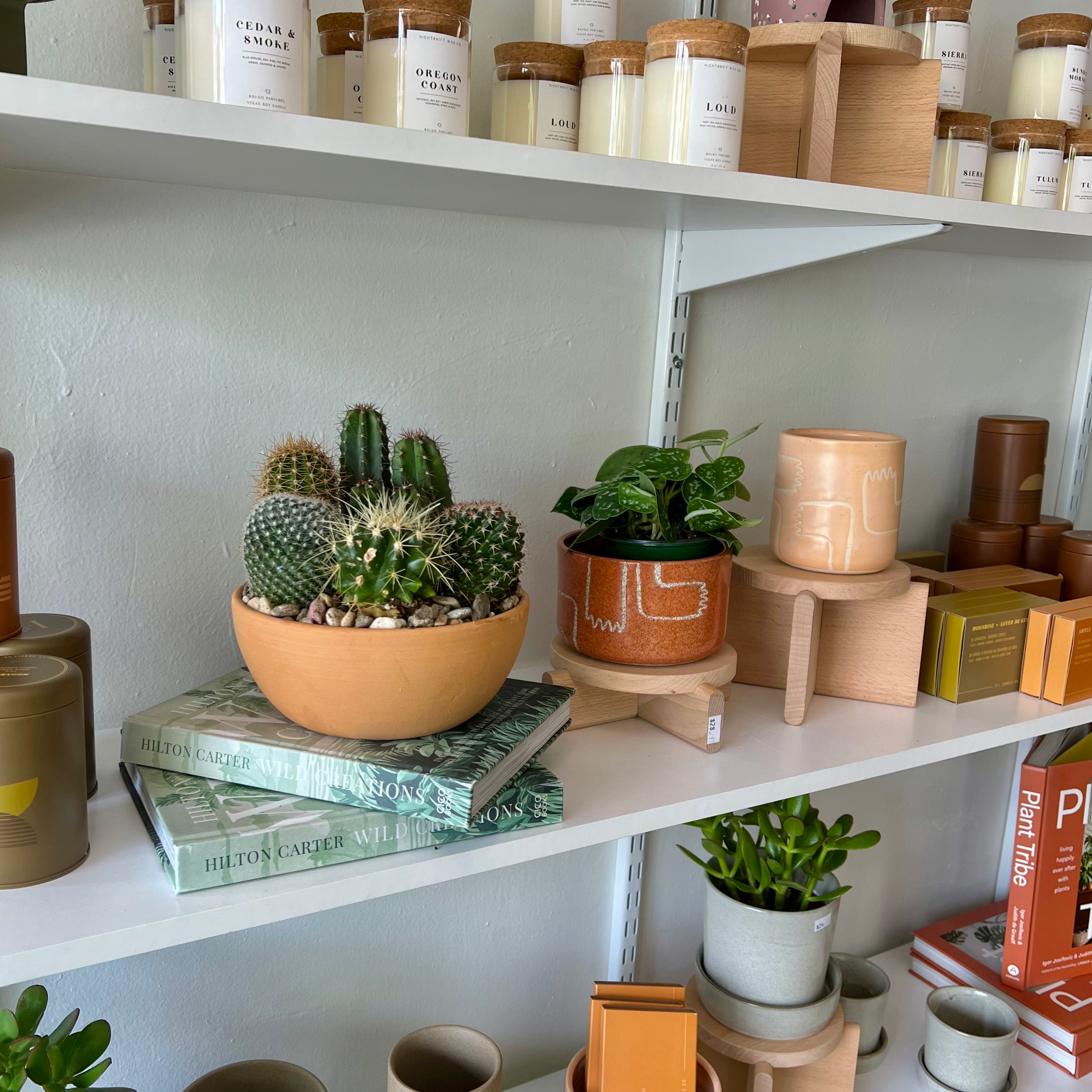 Authentic Mexican Terracotta Bowl with Cactus Garden - Perfect for Home Decor, Office Desk & Succulent Plant Arrangements