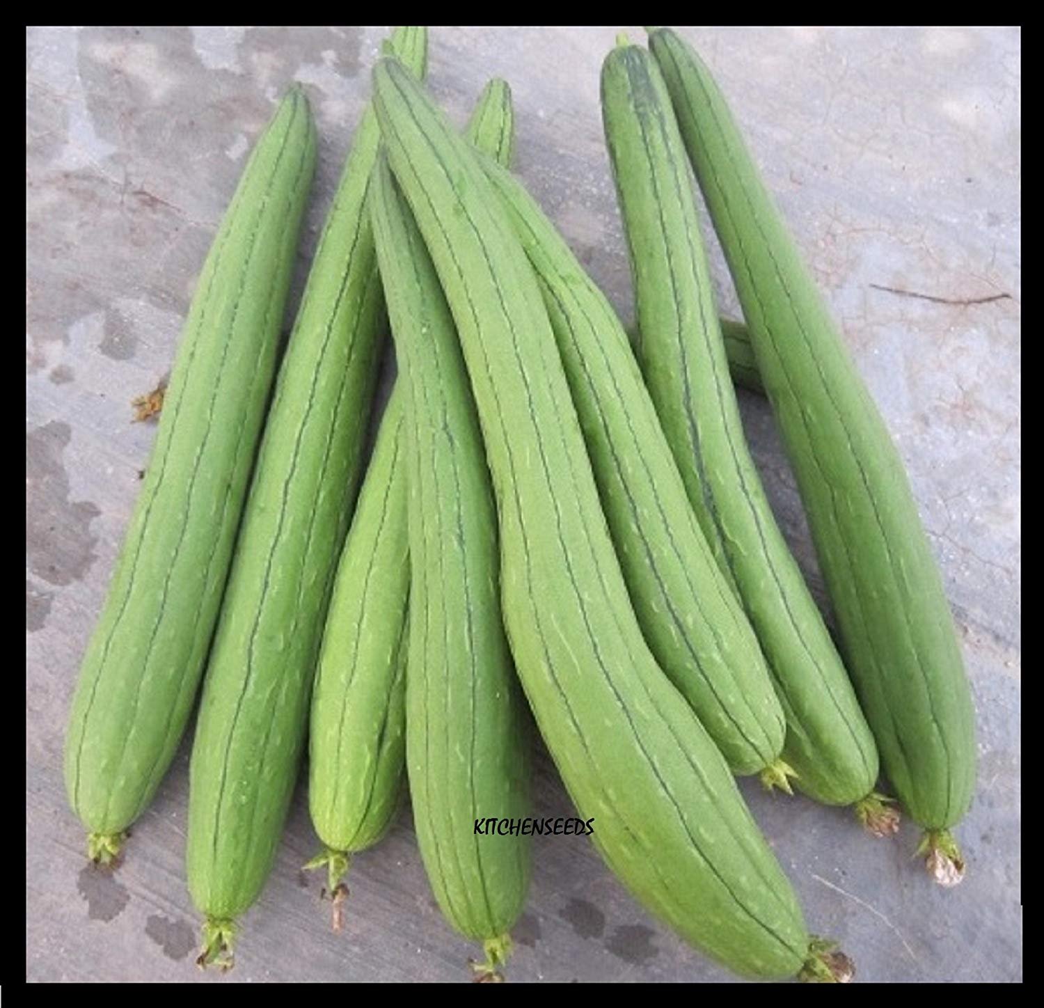 20 Pack Asian Vegetable Luffa Seeds - Edible Long Smooth Sponge Gourd (Muop Huong) for Home Gardening | Grow Your Own Organic Loofah for Cooking & Natural Sponge Uses