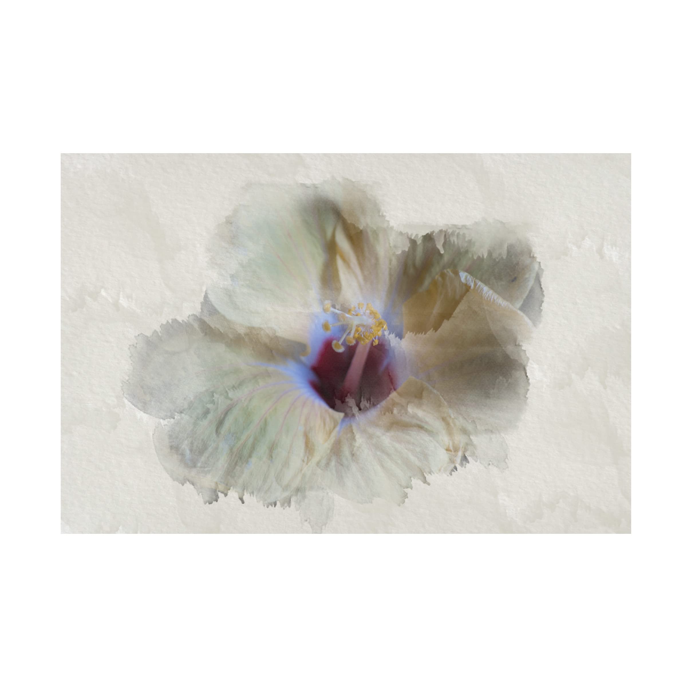 Lori Hutchison 'Yellow Wing Hibiscus' Canvas Wall Art Print - Vibrant Floral Home Decor for Living Room, Bedroom & Office
