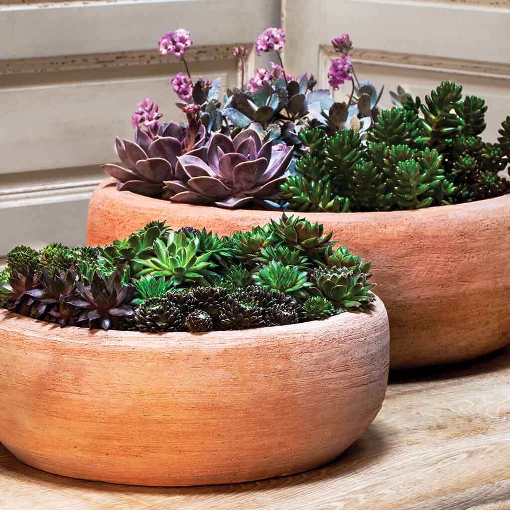 Campania International Annalise Terra Nova Planter Set of 2 - Elegant Flower Pots for Indoor/Outdoor Garden Decor, Patio & Home Plant Display