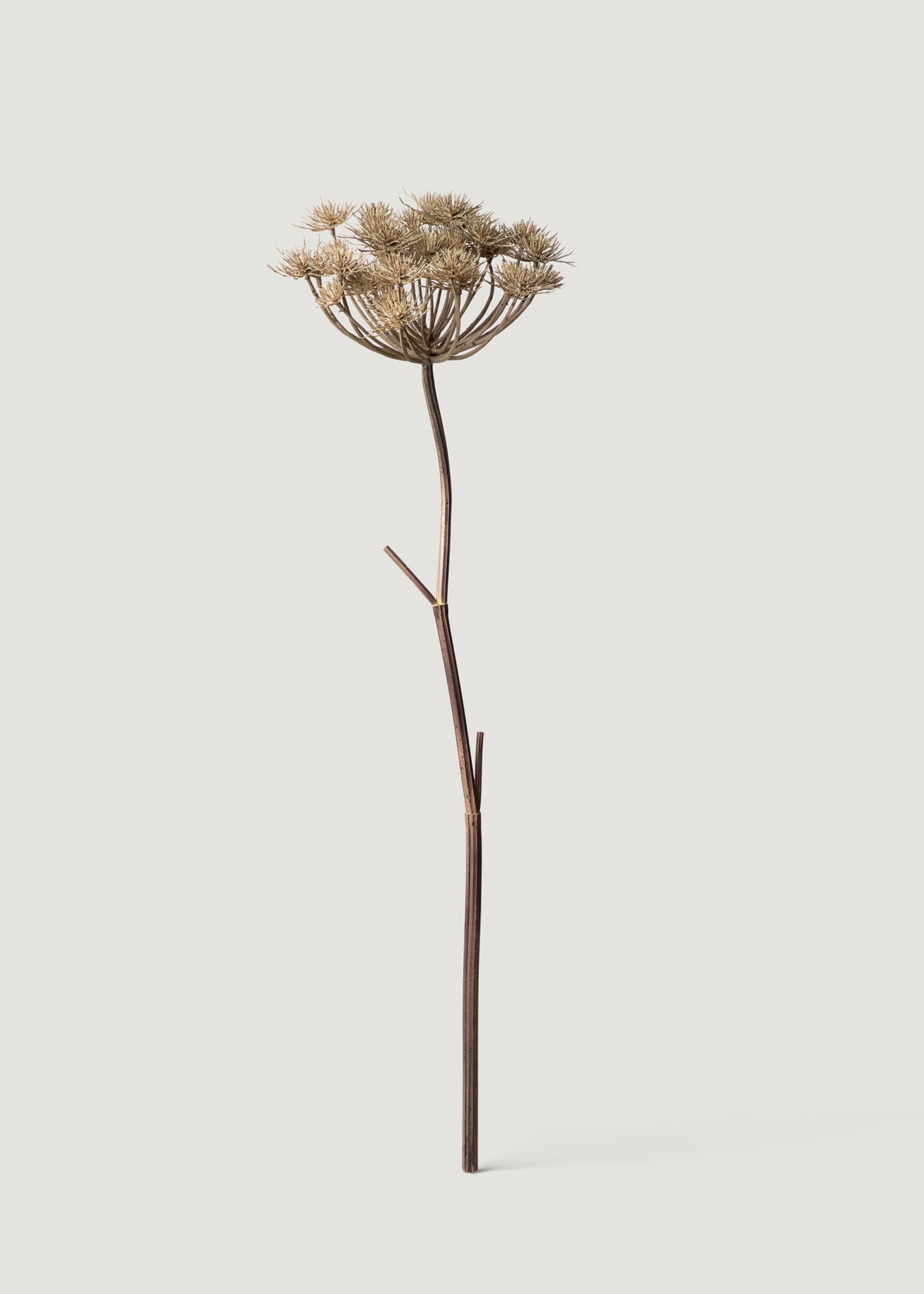 Natural Brown Artificial Wild Angelica Flower - 35.25