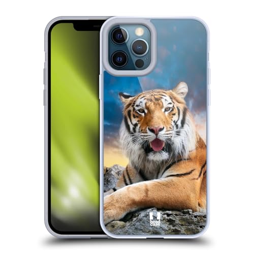 Tiger Sky Background