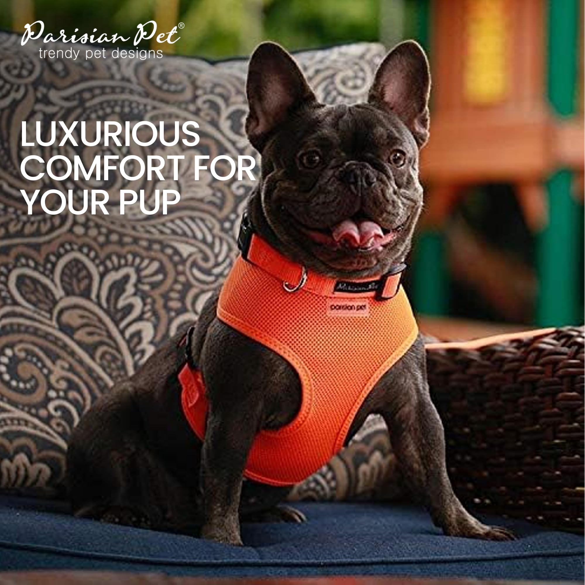 Parisian Pet Orange Adjustable Dog Harness - Soft Padded No-Pull Vest for Small Dogs (XS) - Comfortable Cooling Harness for Walking, Running & Hiking - Perfect for Outdoor Adventures and Daily Walks