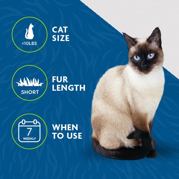 FURminator Small Cat Deshedding Tool for Short Hair - Reduce Shedding & Hairballs, Gentle Grooming Brush for Indoor Cats - Perfect for Daily Brushing & Coat Maintenance