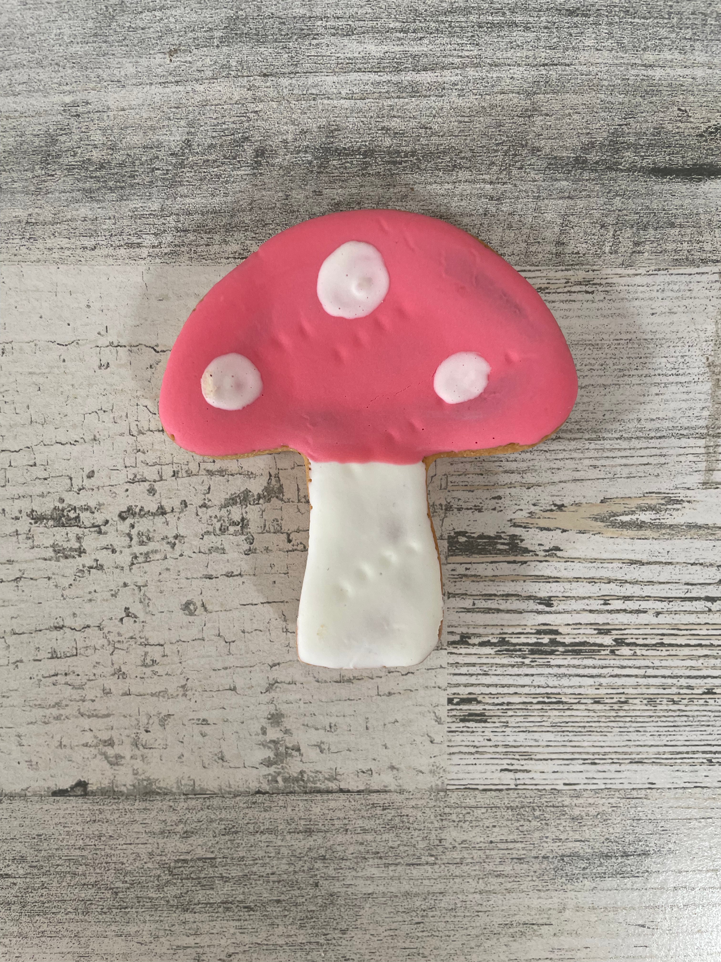 Organic Mushroom Cookies - Delicious & Healthy Snacks for Energy & Focus - Perfect for Hiking, Workouts & On-the-Go Nutrition