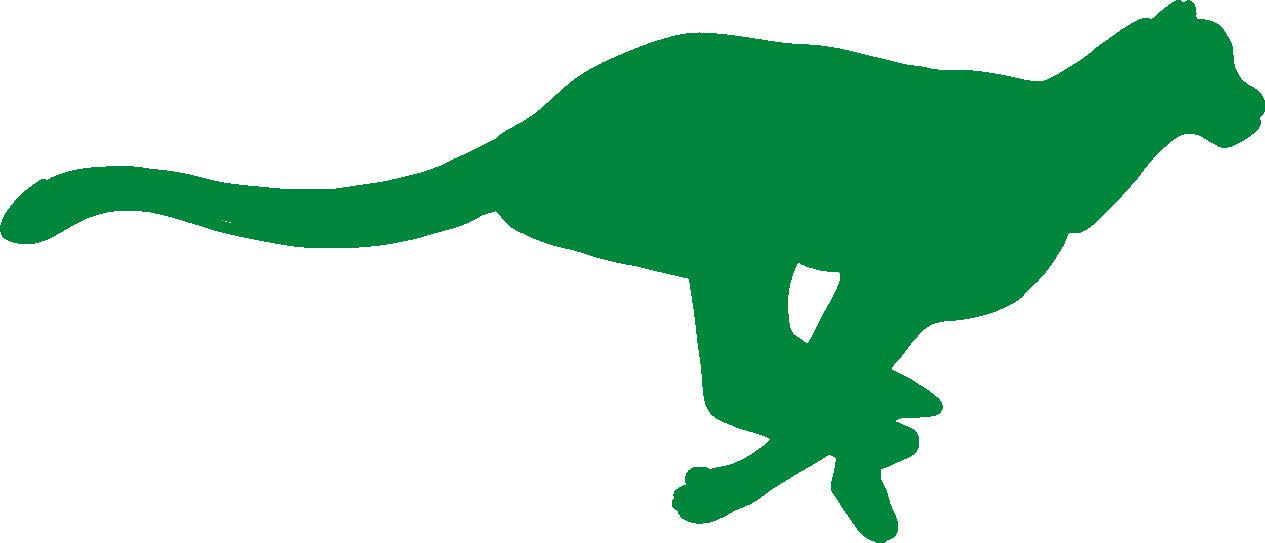 5 Inch Cheetah Vinyl Decal - Premium 2.5mil Thick Outdoor-Grade Vinyl Sticker for Cars, Trucks, Windows, Laptops & Tablets - Vibrant Green Design - Perfect for Personalizing Vehicles, Tech Devices & Home Decor