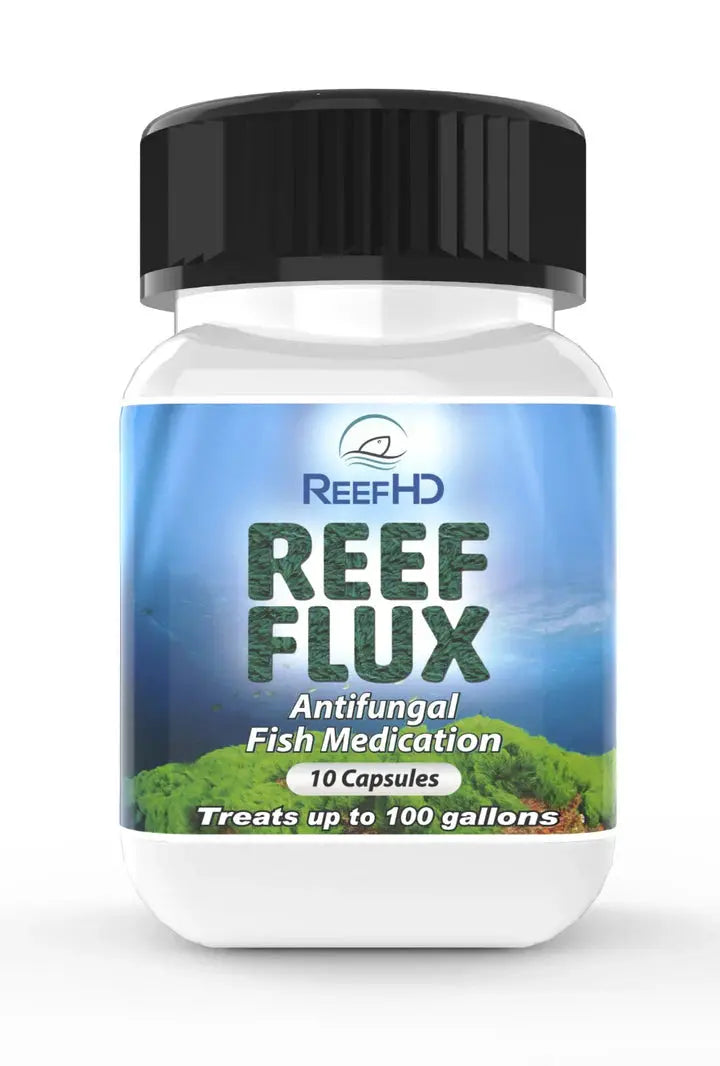 Fish Fluconazole 100 mg Capsules - 10 Count Antifungal Treatment for Aquarium Fish | Treats Fungal Infections in Freshwater & Saltwater Fish Tanks
