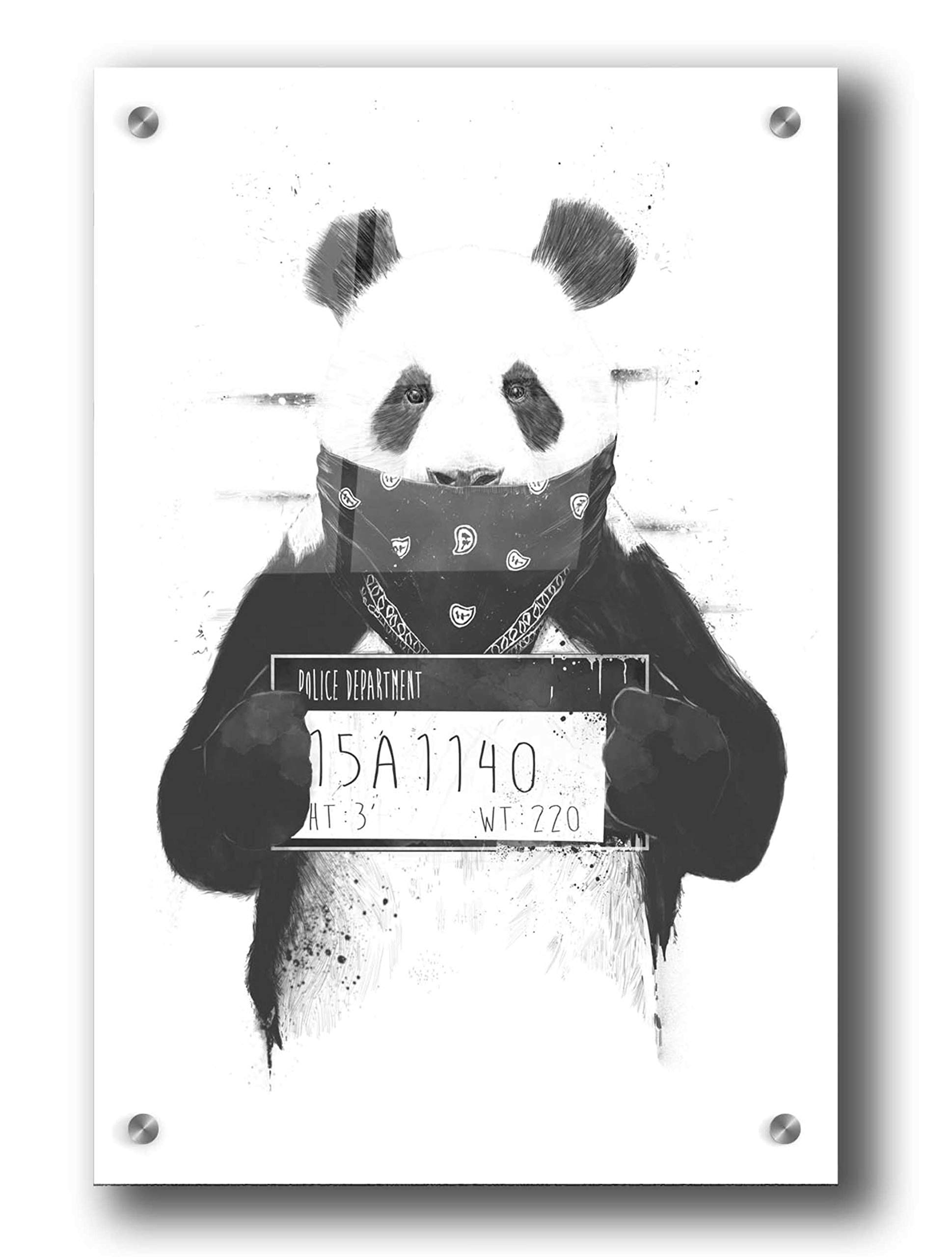 Bad Panda by Balazs Solti - Modern Acrylic Glass Wall Art Painting 24x36 Inches - Vibrant Home & Office Decor for Living Room, Bedroom, or Gift