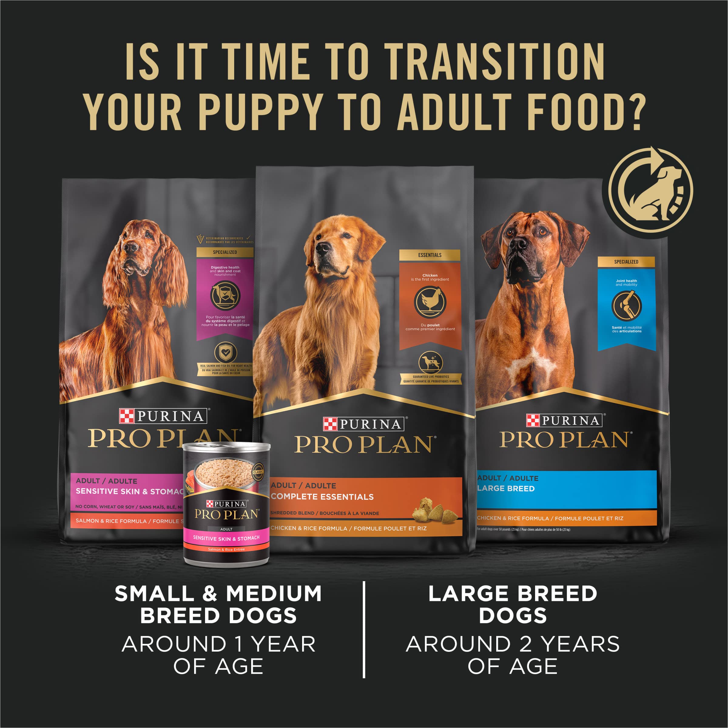 Purina Pro Plan High Protein Dry Puppy Food - Chicken & Rice Formula for Large Breed Puppies - 18 lb Bag | Premium Nutrition for Growing Dogs | Ideal for Active Puppies & Training Rewards