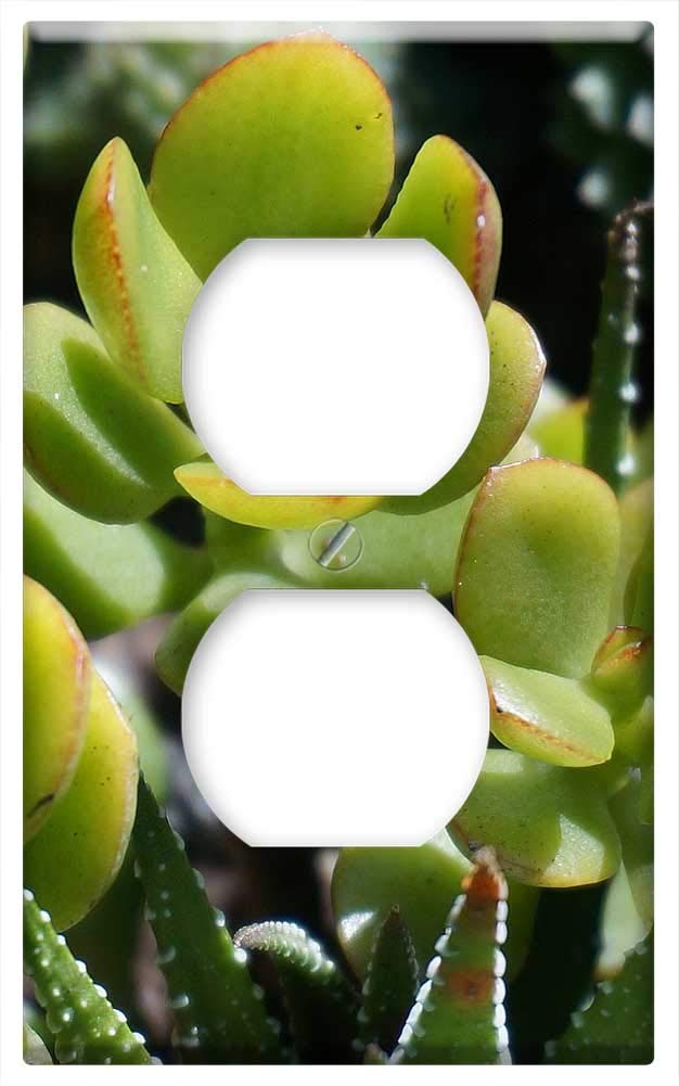 Jade Plant Succulent Switch Plate Outlet Cover - Decorative Nature-Inspired Wall Plate for Home & Office Decor | Perfect for Living Rooms, Bedrooms, and Indoor Gardens