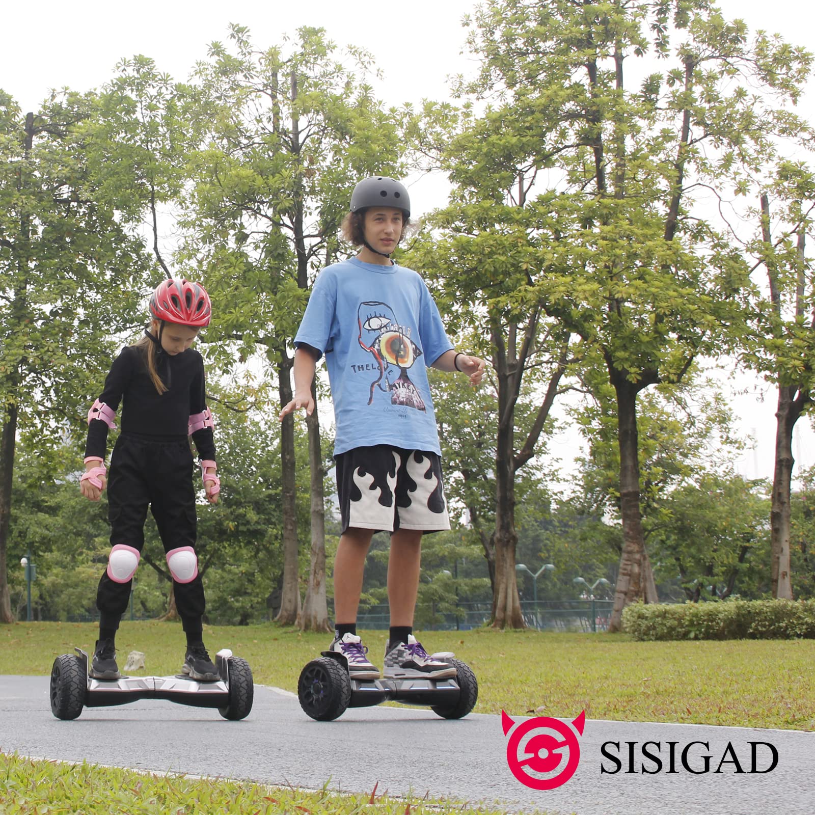 SISIGAD 8.5