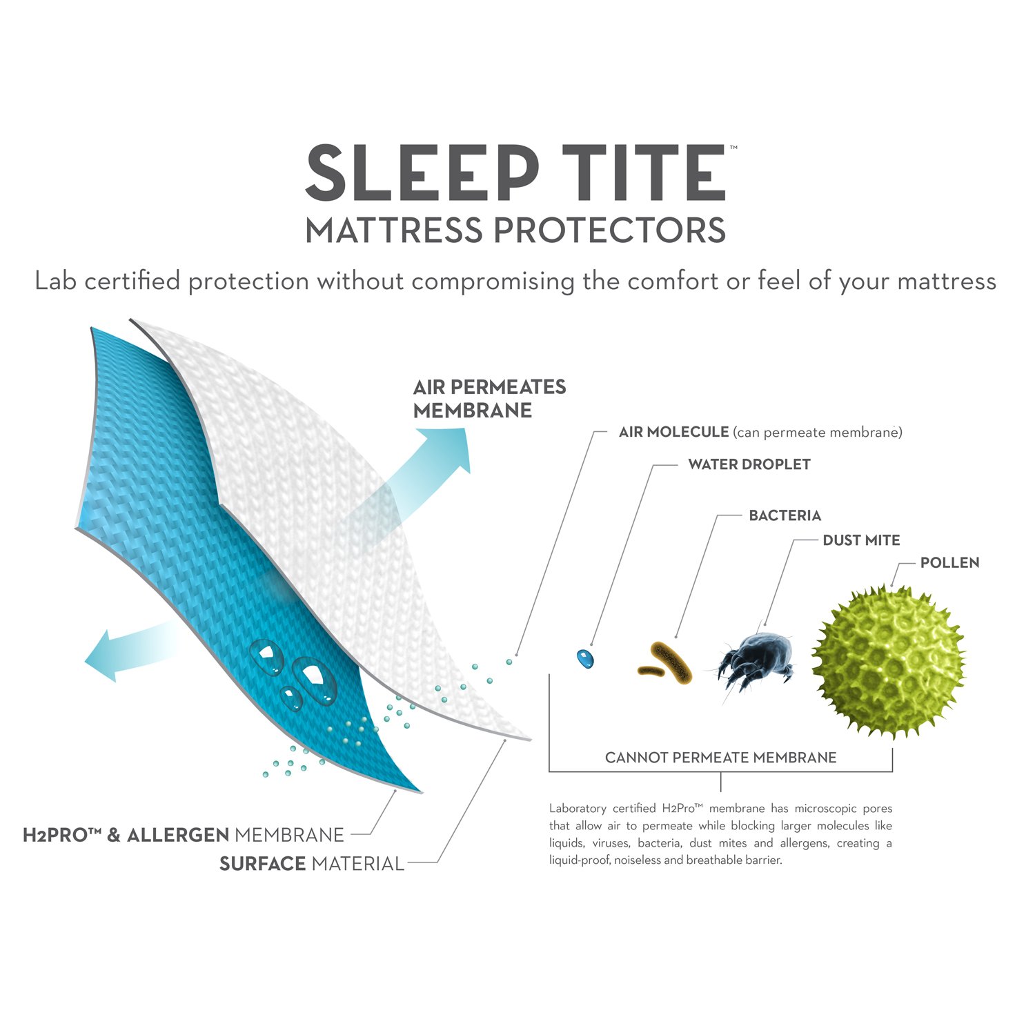 SLEEP TITE Hypoallergenic 100% Waterproof Mattress Protector - Vinyl Free Twin XL Size - 15-Year Warranty - Ideal for Dorm Rooms, Kids' Beds & Allergy Protection - Breathable & Noise-Free Sleep Solution
