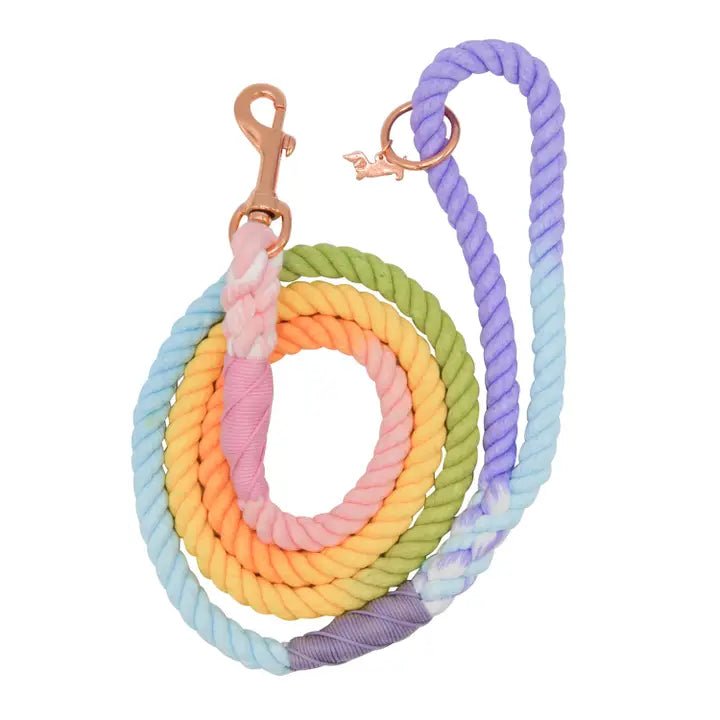 Durable Dog Rope Leash with Pinata Design - Strong Chew Proof Pet Lead for Medium & Large Dogs - Perfect for Outdoor Walking, Training & Playtime