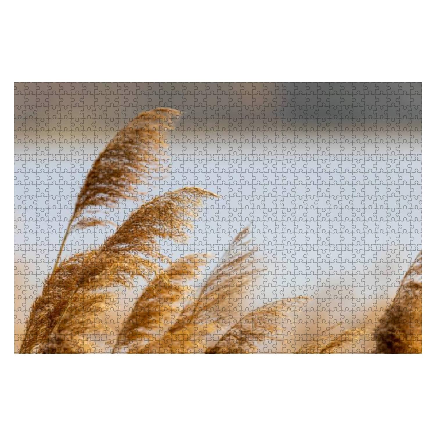 1000-Piece Wooden Jigsaw Puzzle - Reed Grass in Bloom (Phragmites Australis) | Educational & Stress-Relief Puzzle for Kids & Adults | Perfect for Family Game Night, Classroom Learning, and Relaxation