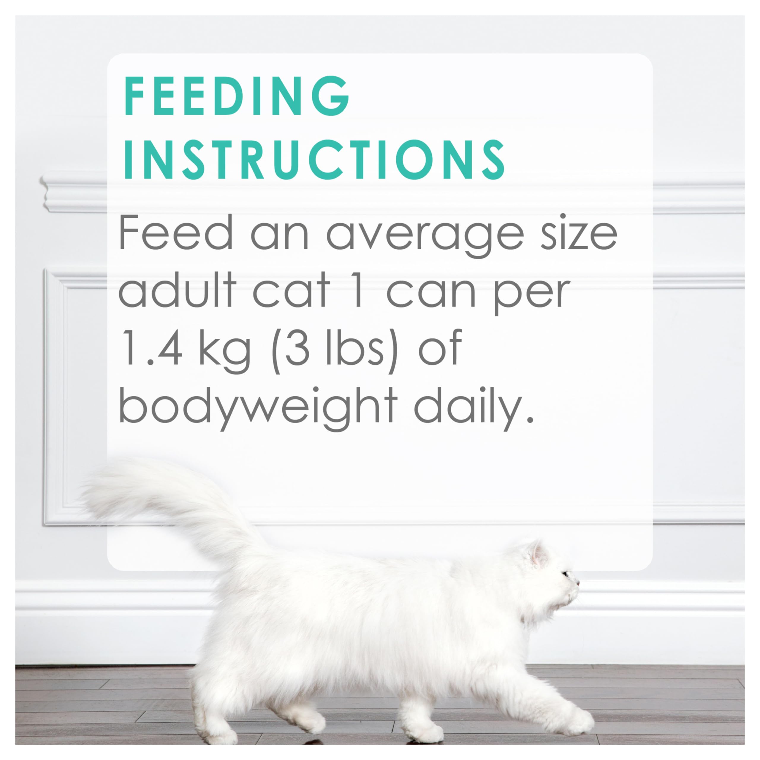 Fancy Feast Medleys Wet Cat Food - Florentine Collection Variety Pack (3 Flavors, 85g x 12 Cans) | Gourmet Cat Food for Adult Cats | Perfect for Mealtime, Travel & Special Treats