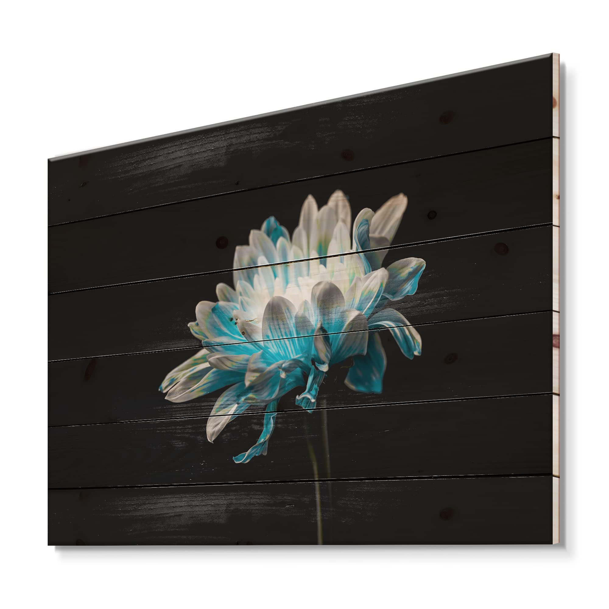 Blue & White Daisy Wood Wall Art - Floral Pine Decor for Living Room