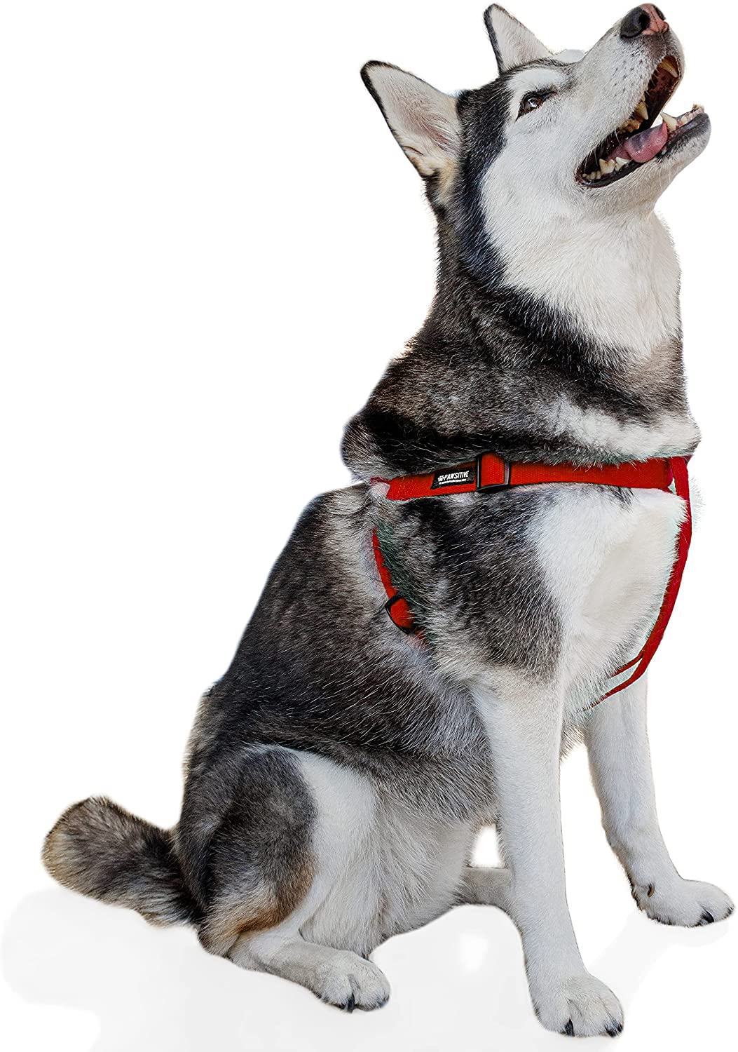 Pawsitive Hemp Dog Harness - Step-in Design, Soft Hypoallergenic Pet Vest for Small Medium Large Dogs - Large Red - Perfect for Walking, Training & Outdoor Adventures