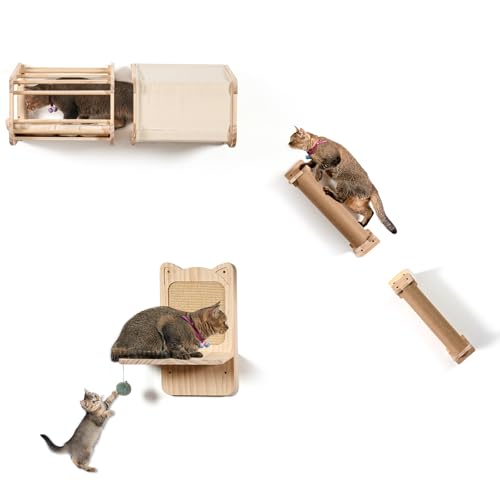 Cat Shelves