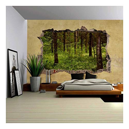 Trees in the Forest