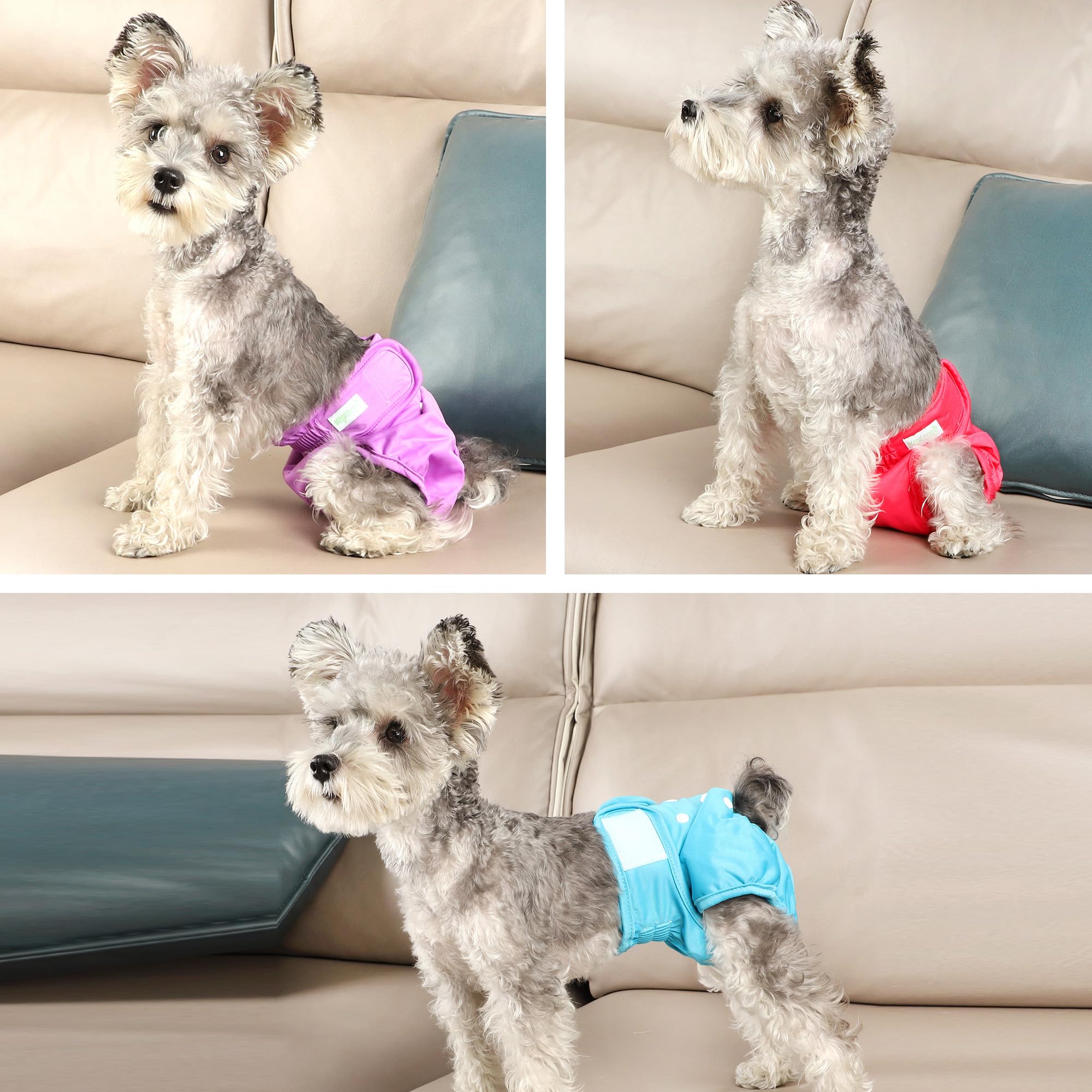 Wegreeco Washable Reusable Premium Dog Diapers for Female Dogs - XX-Large, Bright Colors, Pack of 3 | Dog Period Panties & Heat Protection for Small to Large Dogs | Perfect for Christmas, Travel, and Home Use