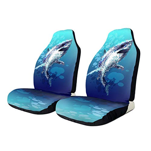 Shark