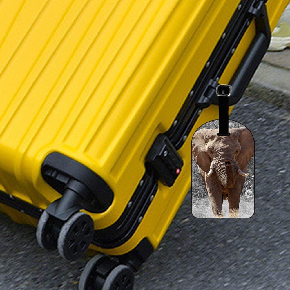African Elephant Luggage Tag - Durable Suitcase Label & Travel Baggage Name Tag (1 Pack) - Perfect for Airports, Cruise Ships & Business Trips