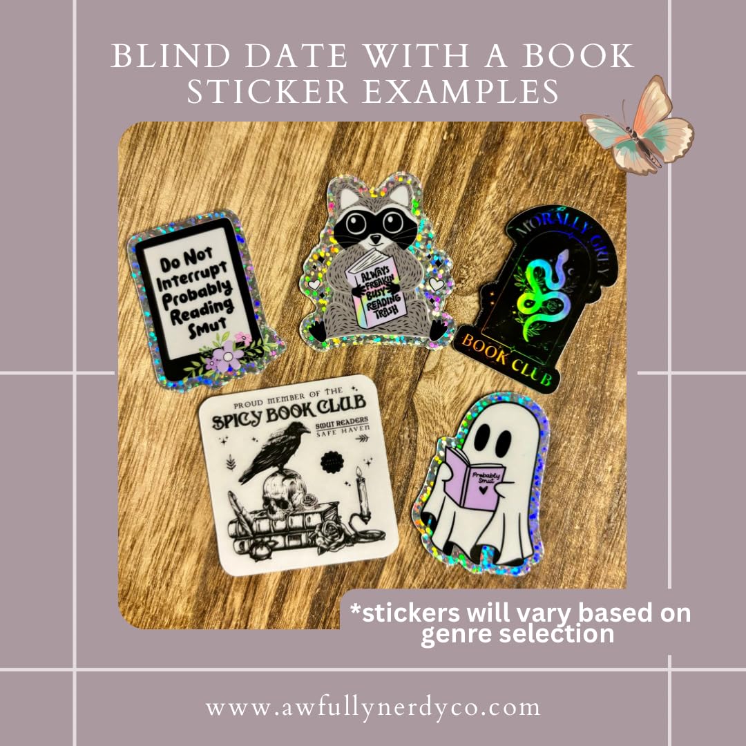 Blind Date With a Book - Unwrap Your New Favorite Fantasy Novel | Unique Book Gift Idea for Readers & Book Lovers | Perfect for Book Clubs, Birthday Gifts, and Cozy Reading Nights