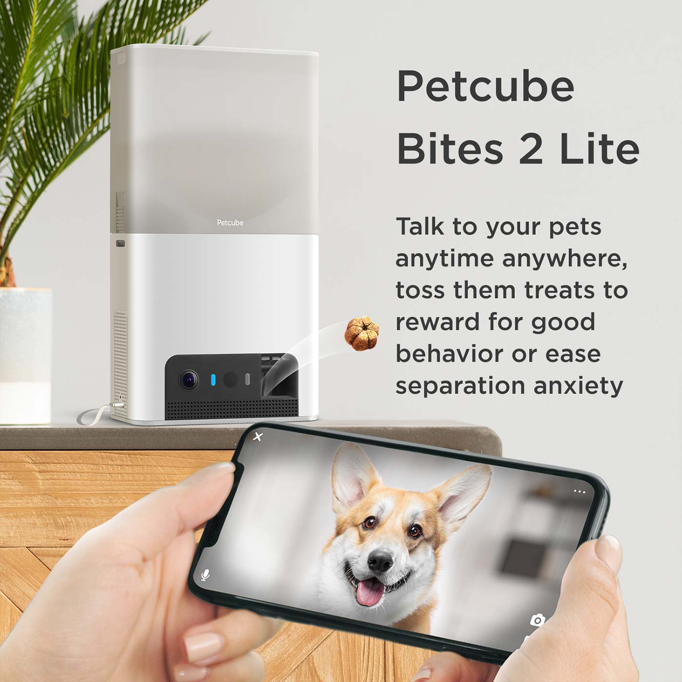 Petcube Bites 2 Lite - WiFi Pet Camera with 2-Way Audio, Automatic Treat Dispenser & Night Vision for Dogs & Cats - Monitor & Play with Pets Remotely at Home or Office