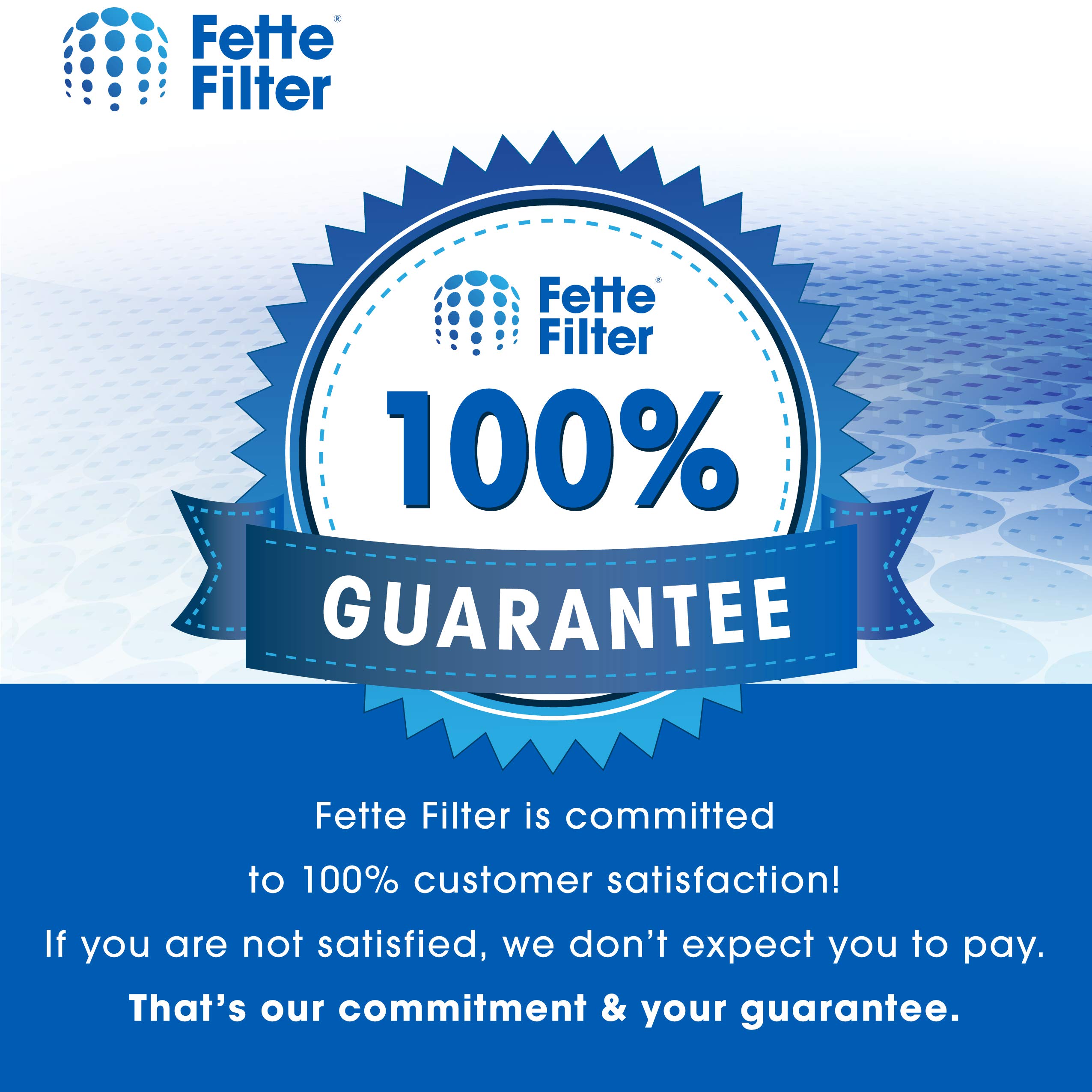 True HEPA Replacement Filters with Activated Carbon - Compatible with Fridababy, Meleden, RIGOGLIOSO GL-2103, JINPUS & LTLKY 900S Air Purifiers - Pack of 4 - Ideal for Allergy Relief, Pet Dander & Smoke Removal in Home & Nursery