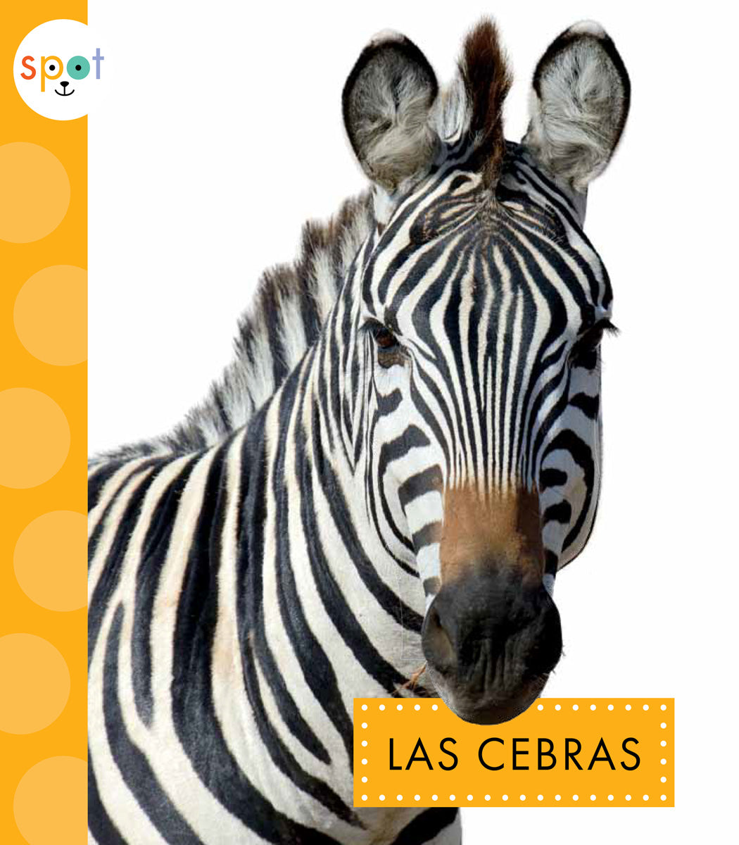 Black and White Striped Zebra Print T-Shirt for Women - Trendy Animal Graphic Tee - Perfect for Casual Wear, Outfits, and Safari Adventures