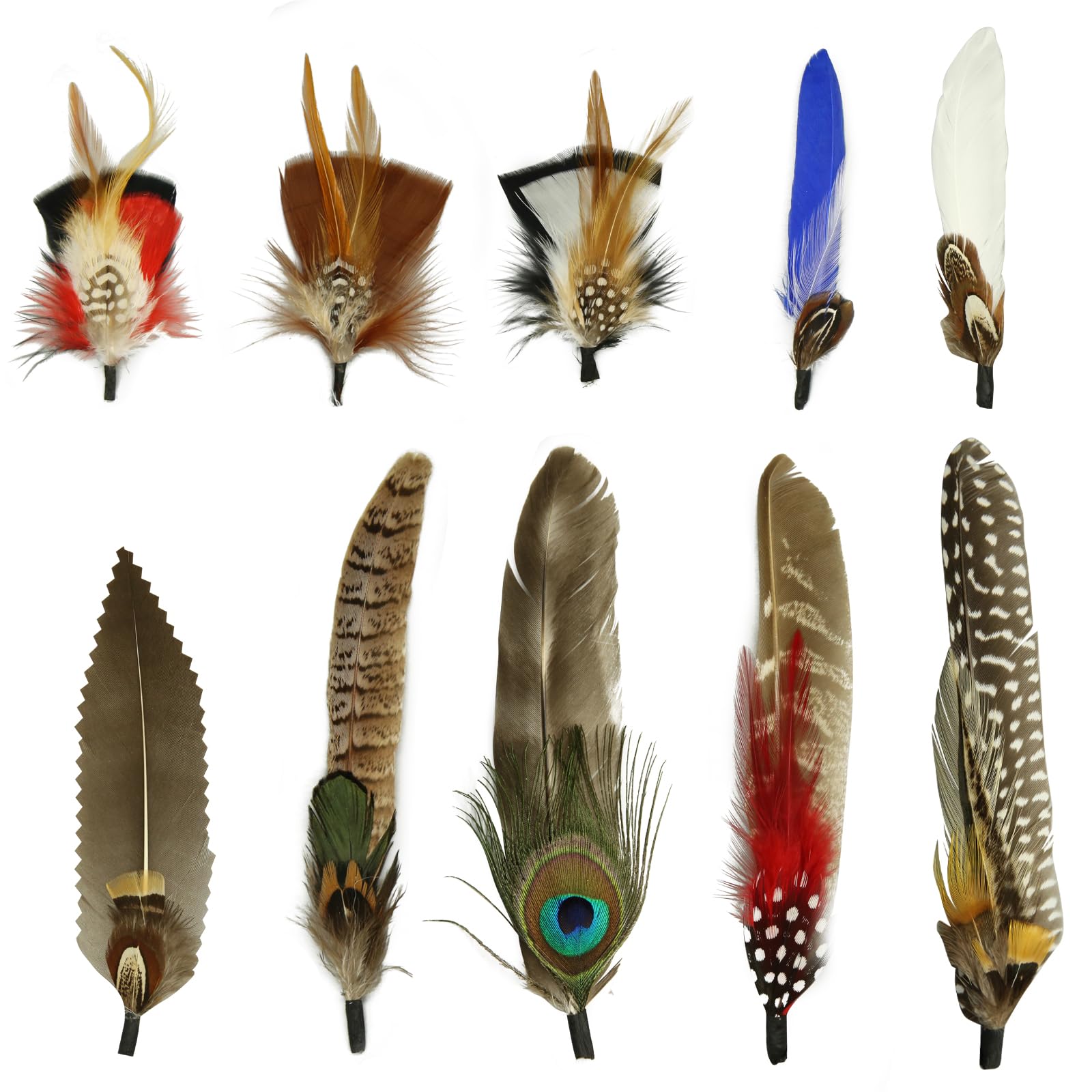 10Pcs Natural Peacock Hat Feathers - Colorful Feather Pins for Cowboy Hats, Western Hats & Christmas Party Hats | DIY Feather Accessories & Decorations (10 Styles) - Perfect for Costume Parties, Rodeo Events & Festive Celebrations