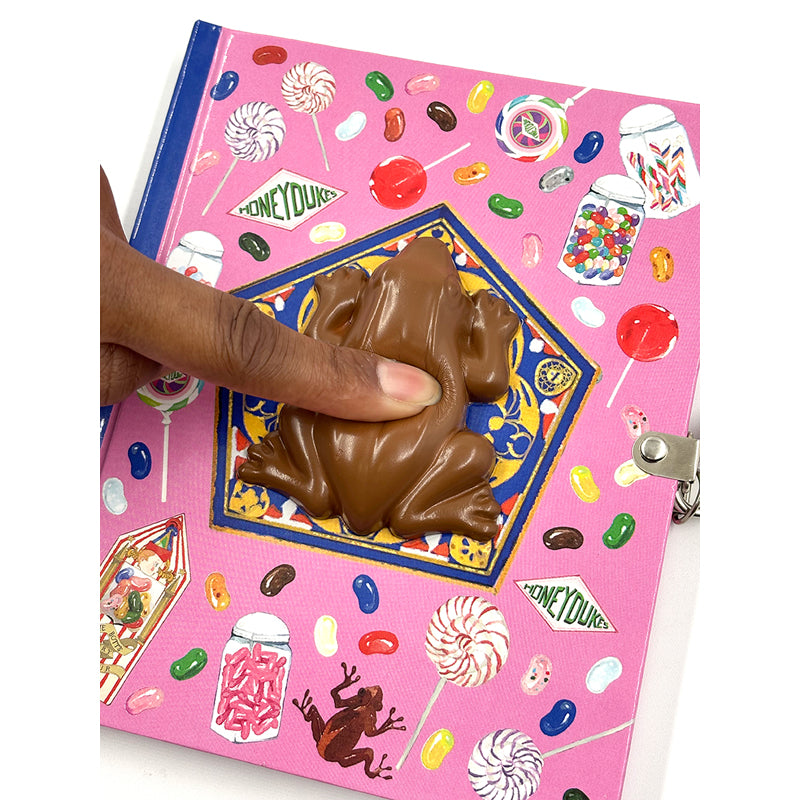 Harry Potter Chocolate Frog Squishy Lock & Key Diary - Magical Journal for Kids & Teens, Perfect for Collectors, School Use & Secret Keeping