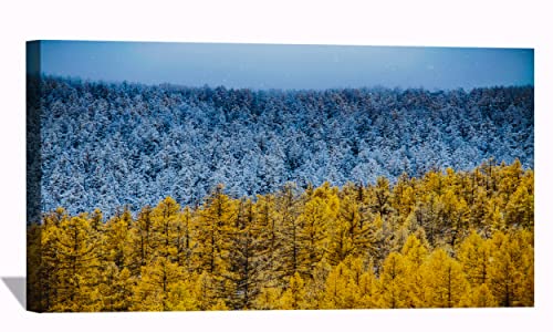 Winter and Autumn