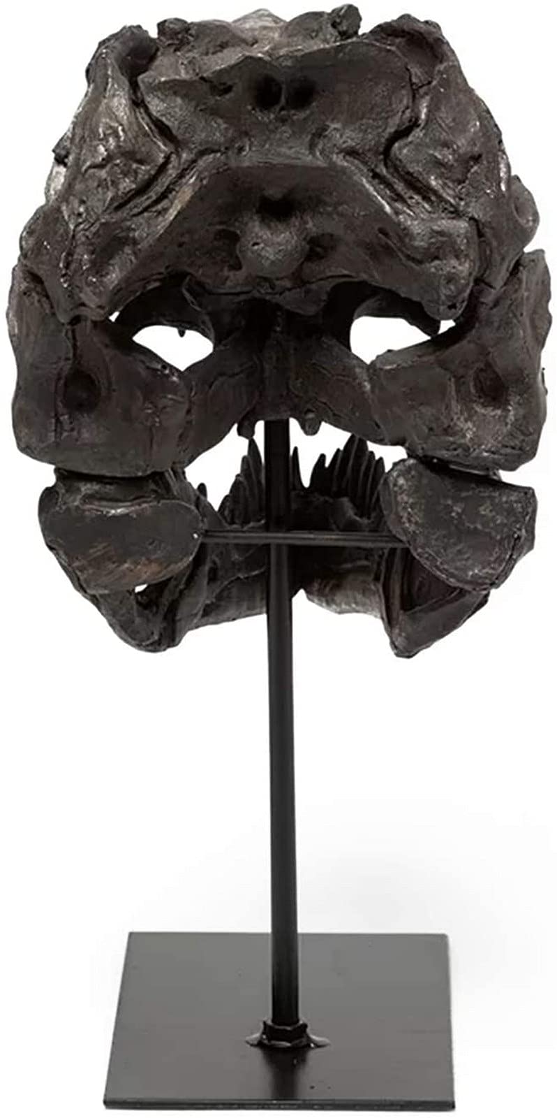 Gothic Dinosaur Skull Statue - Resin Home Decor Sculpture for Living Room, Office, TV Cabinet & Wine Bar | Unique Halloween, Birthday Gift for Dinosaur Lovers & Gothic Decor Enthusiasts | Perfect for Dark Academia Theme & Man Cave Decor