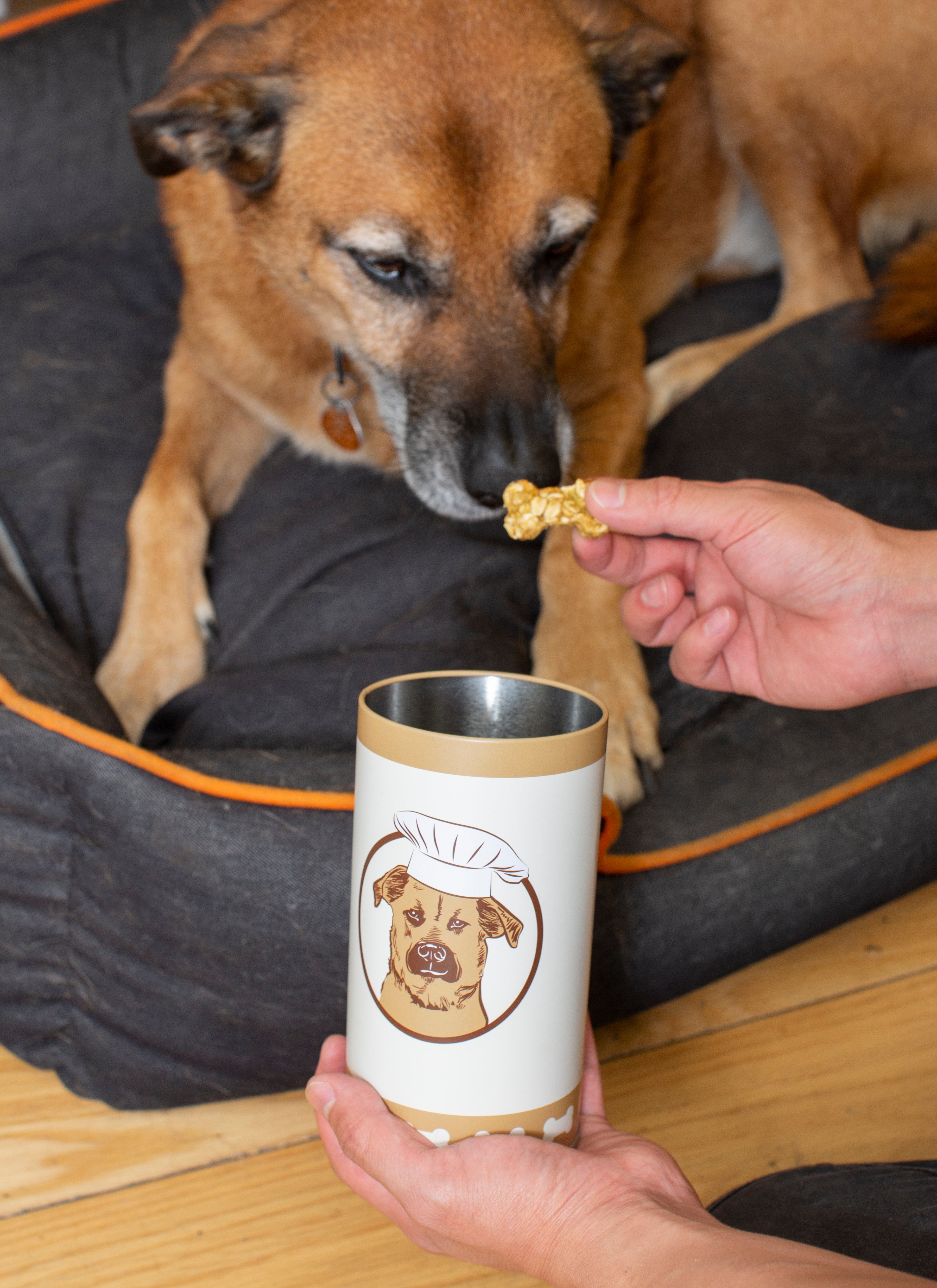 Homemade Kobe Beef Dog Treats Kit - Healthy & Natural DIY Dog Snacks for Training & Rewards - Perfect for Puppies, Small & Large Breeds - Great for Birthday Gifts & Dog Lovers