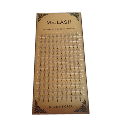 5D Individual Eyelashes 0.07mm C Curl - 12 Rows Premade Fans for 3D Volume - Professional Korean Eyelash Extensions (1 Tray) - Perfect for Bridal, Party & Special Occasion Makeup