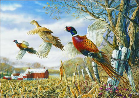 DM 58 Pheasants Doormat - Colorful Welcome Mat for Front Door, Non-Slip Indoor/Outdoor Rug - Perfect for Home Entryway, Porch, Patio, and Mudroom Decor