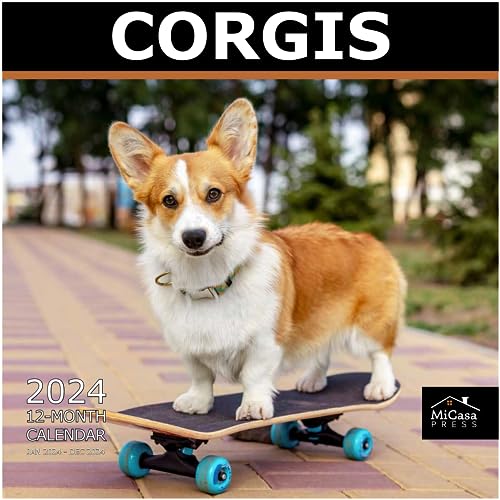 04 - Corgis