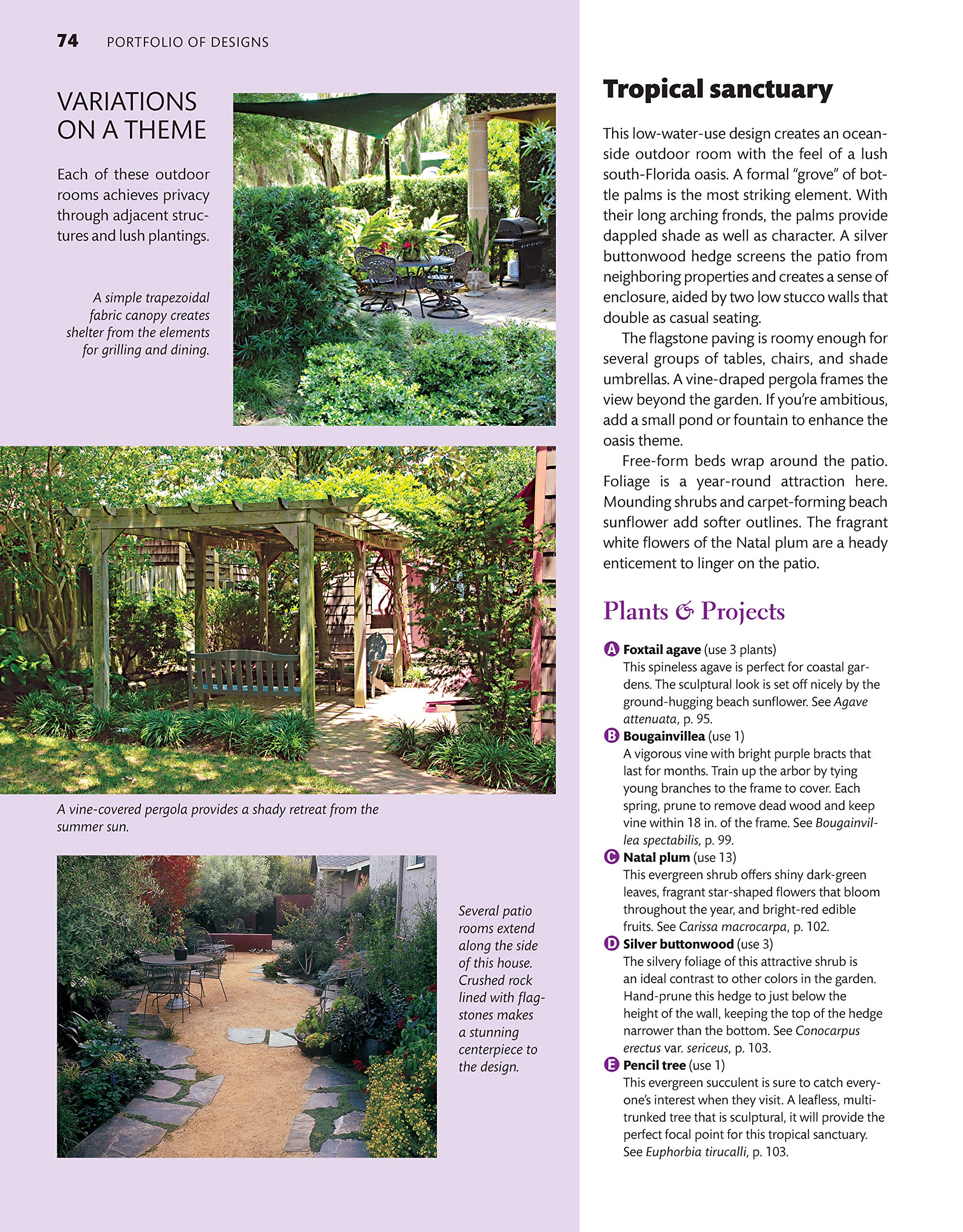 Southern Coastal Home Landscaping Guide - 38 Landscape Designs with 160+ Salt-Tolerant Plants for AL, GA, FL, LA, MS, SC & TX | 375 Photos & Illustrations | Perfect for Beachfront Homes & Coastal Gardens