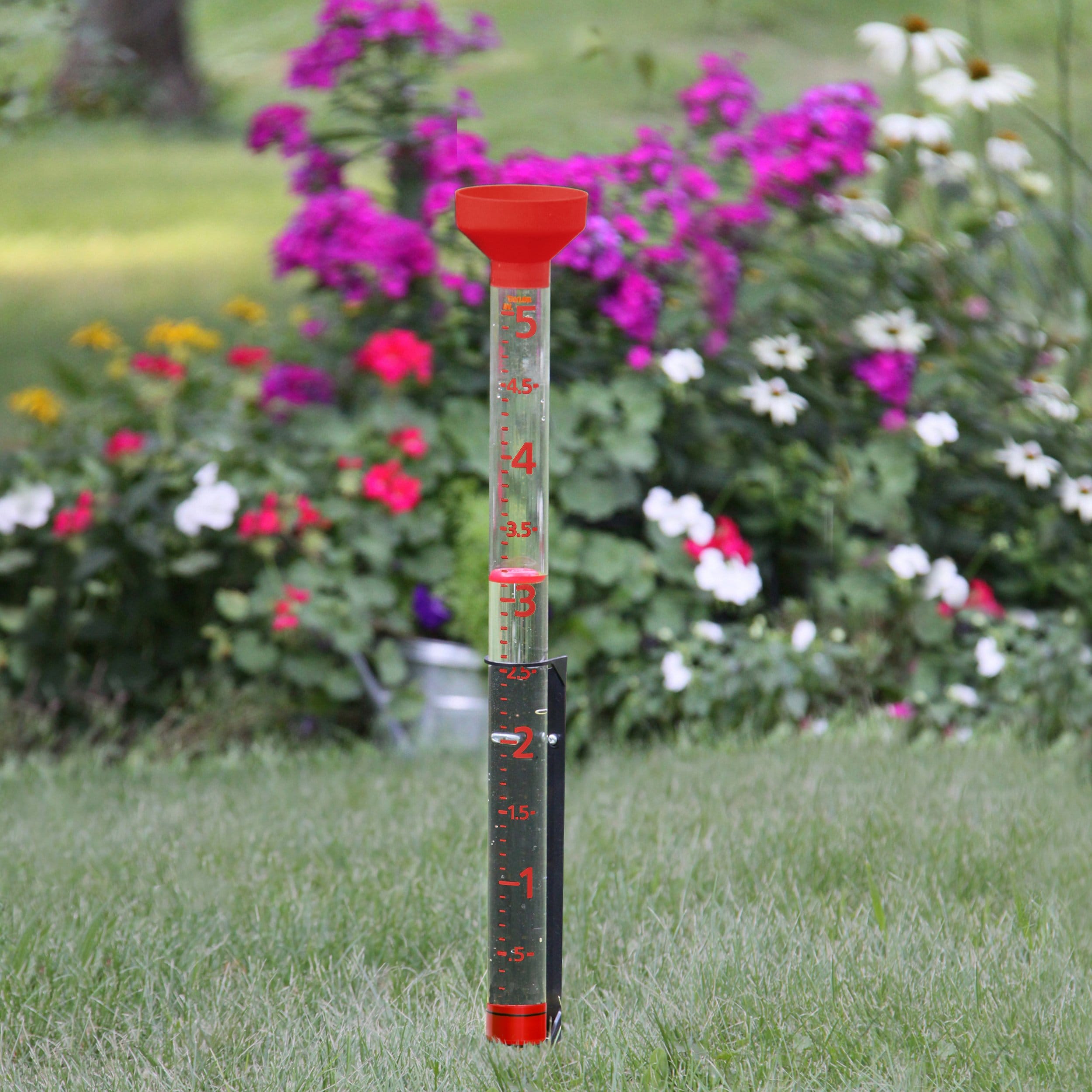 Jumbo Jr. Easy to Read Rain Gauge - Outdoor Weather Station for Garden, Lawn & Backyard - Perfect for Homeowners & Weather Enthusiasts