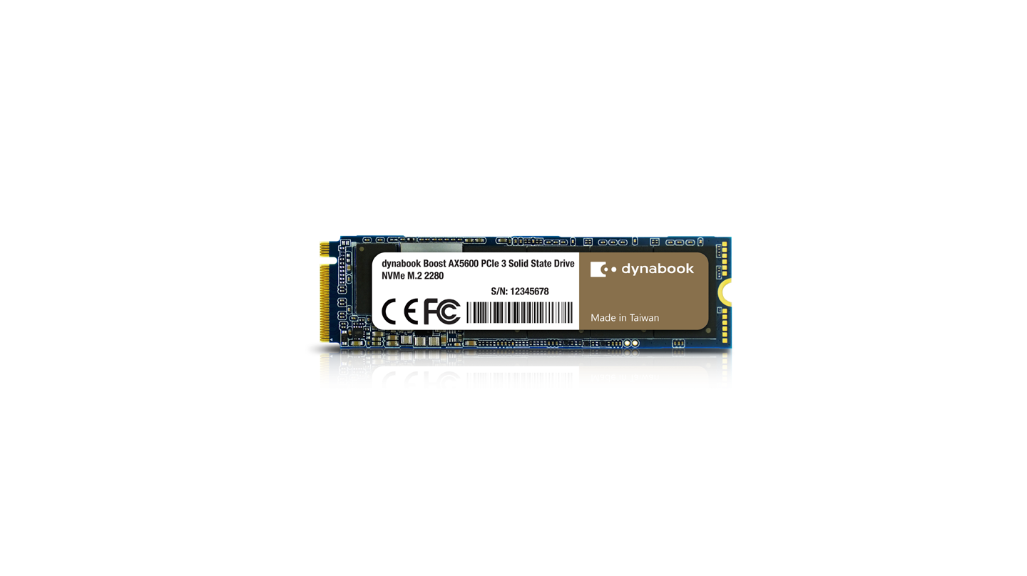 Dynabook AX5600 M.2 NVMe 2280 SSD - 1TB High-Speed Internal Solid State Drive for Laptop & Desktop PC | Fast Data Transfer, Gaming, Video Editing & OS Upgrade