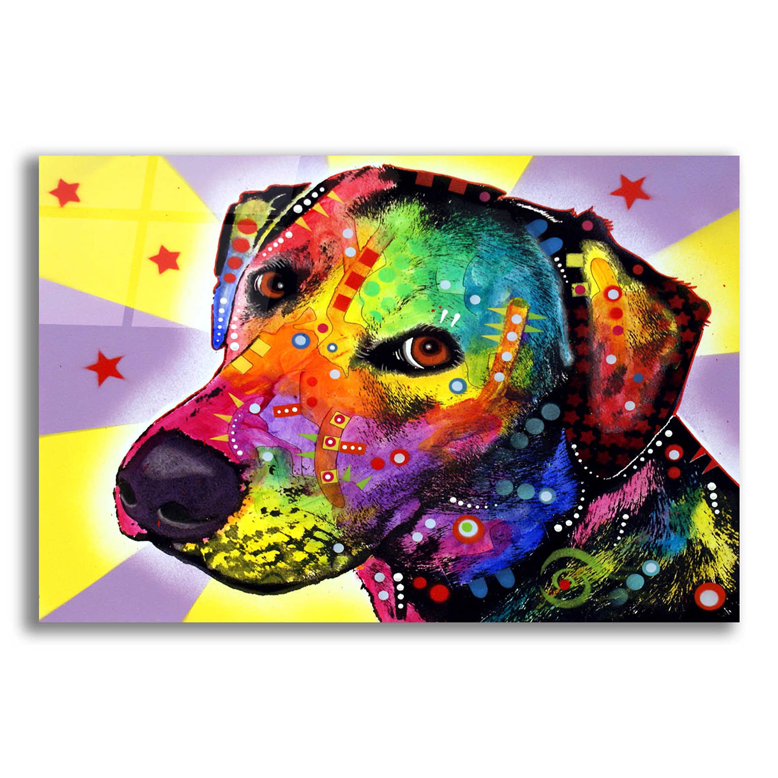 Dean Russo 'Yellow Sorta LAB' Acrylic Glass Wall Art - 24x16 Inches, Vibrant Abstract Painting for Living Room, Bedroom & Office Decor