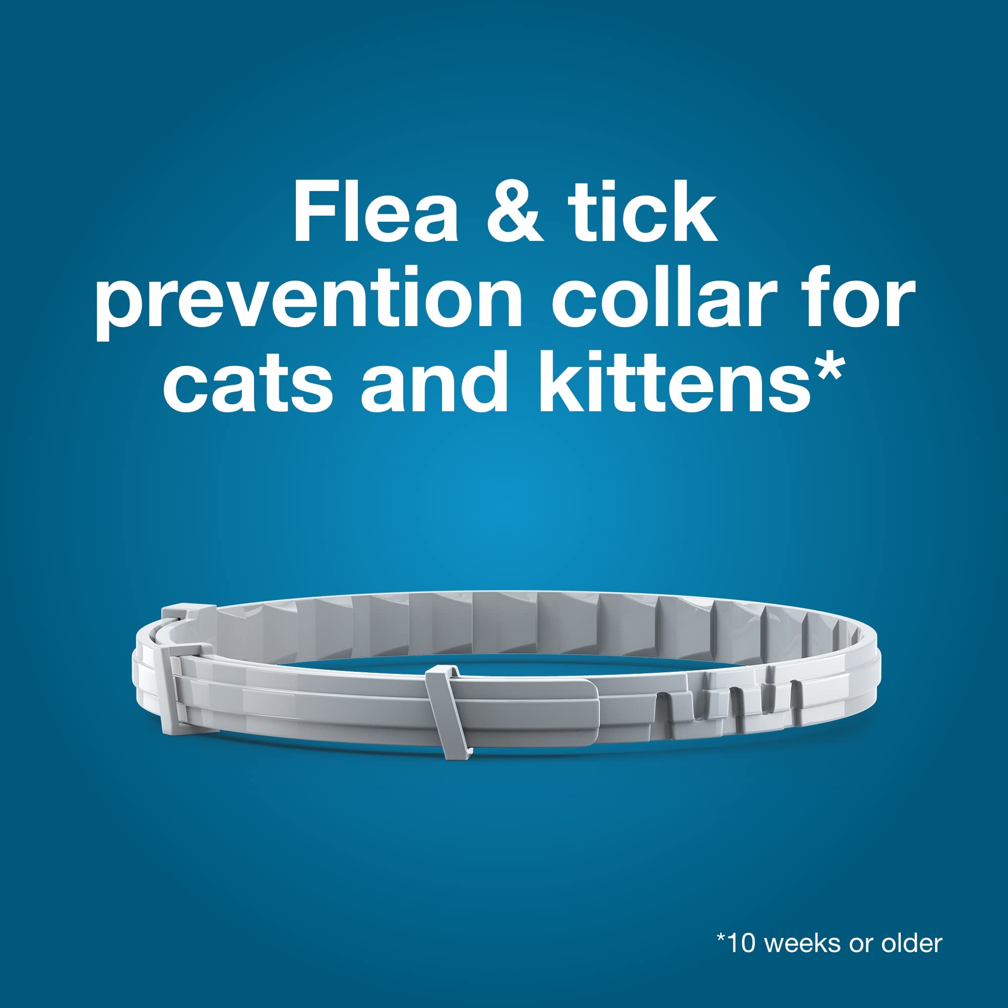 Seresto Flea and Tick Collar for Small Dogs Under 18 lbs & Cats - Vet-Recommended 8-Month Protection | Waterproof, Odorless Pet Collar for Indoor & Outdoor Use