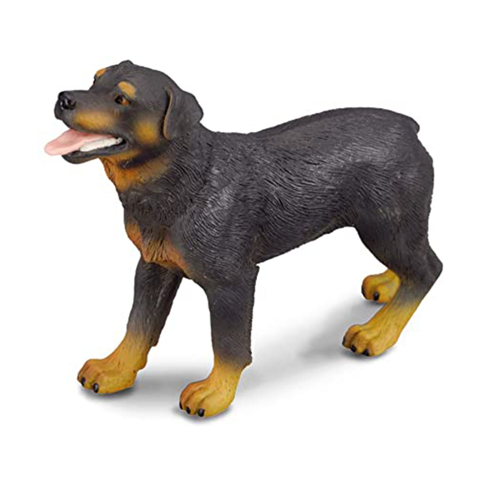 CollectA Rottweiler Dog Figure 88189 - Realistic Rottweiler Toy for Kids, Dog Lovers & Collectors - Perfect for Playtime, Education & Home Decor