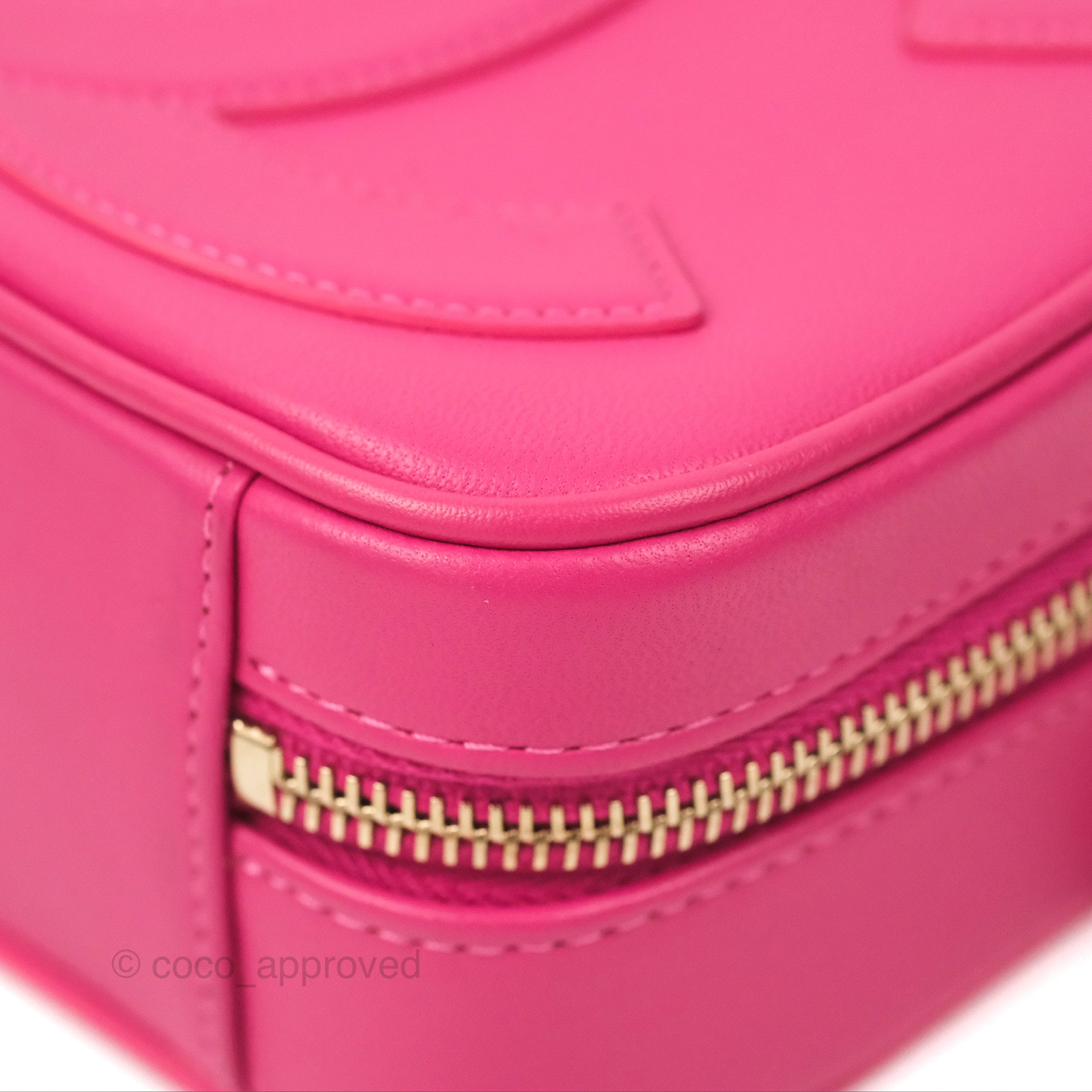 Chanel CC Mania Camera Bag in Pink Lambskin Leather with Gold Hardware - Perfect for Everyday Use, Travel & Fashion Accessories