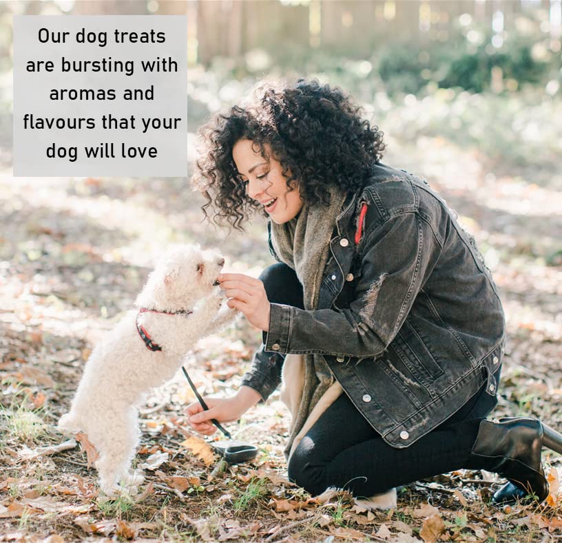 5 Pack Natural Rawhide Dog Chews - 4 Inch Pressed Bones for Small Dogs | Healthy Dental Treats for Puppies & Adult Dogs | Perfect for Training, Teething & Chewing Needs