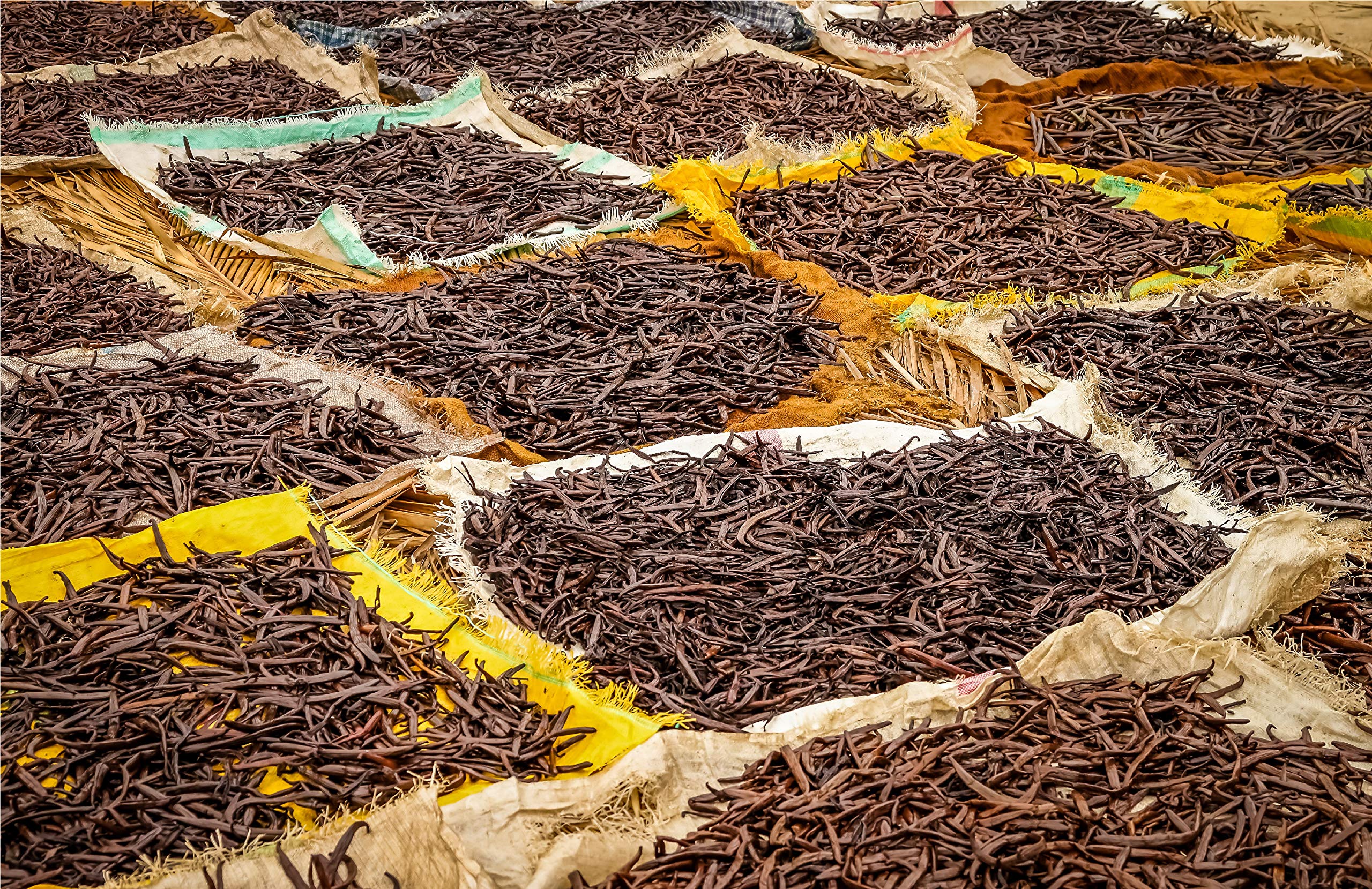 Premium Grade A Mexican Vanilla Beans - 1/2 LB Whole Vanilla Pods from Veracruz for Baking, Homemade Vanilla Extract & Desserts - Perfect for Cakes, Ice Cream & DIY Vanilla Products (8 oz)