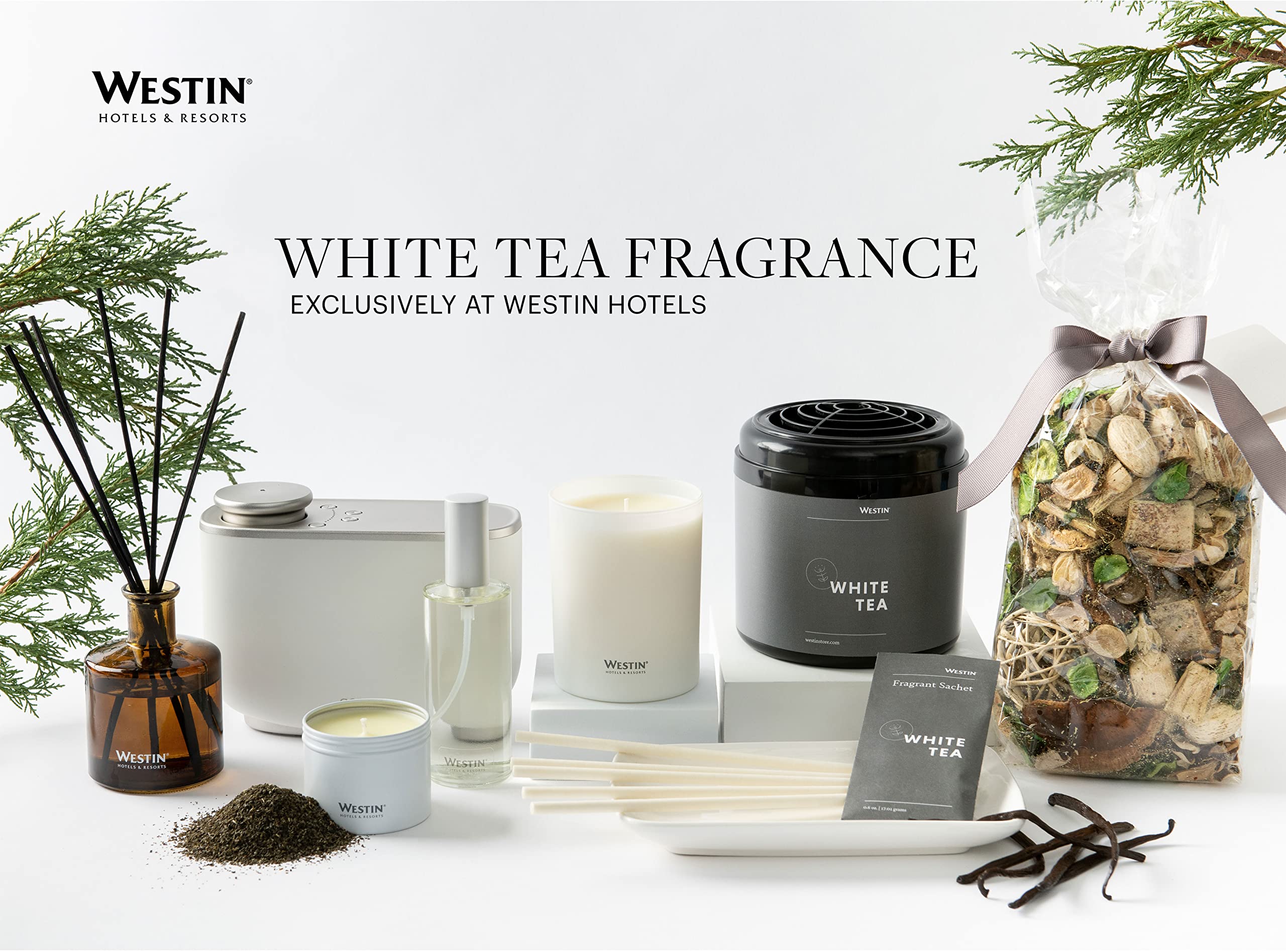 Westin White Tea Essential Oil Diffuser - Aromatherapy Scent Machine with Refill Cartridge - Home Air Freshener for Living Room, Bedroom & Office - Relaxing White Tea Fragrance for Stress Relief & Better Sleep
