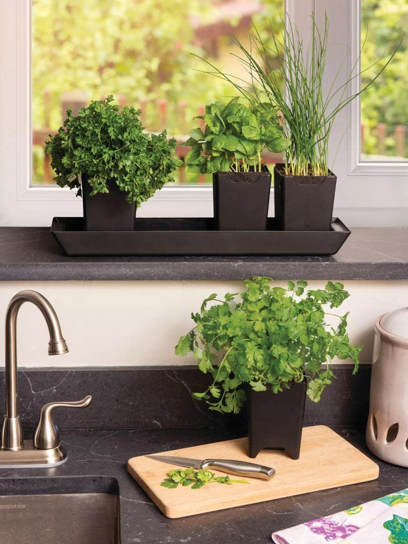 **Self-Watering Plant Pots for Indoor Plants - 4-Pack Seed Starter Pots with Drainage Tray | Faster & Healthier Plant Growth | Perfect for Home Gardening, Balcony Decor & Office Plants**    *(Optimized for Google SEO, includes usage scenarios: home gardening, balcony decor, office plants)*